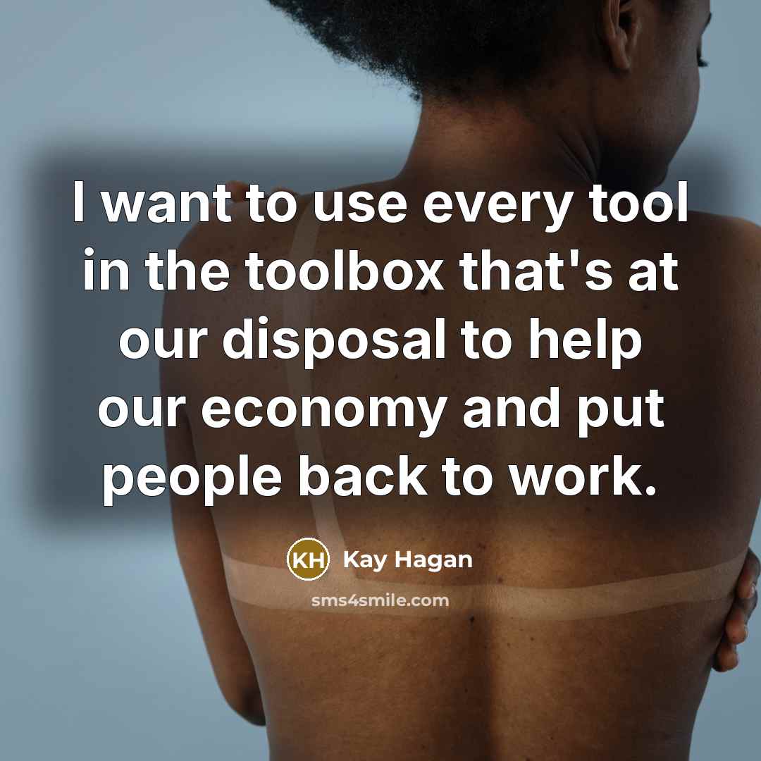 “I want to use every tool in the toolbox that's…” quote by Kay Hagan