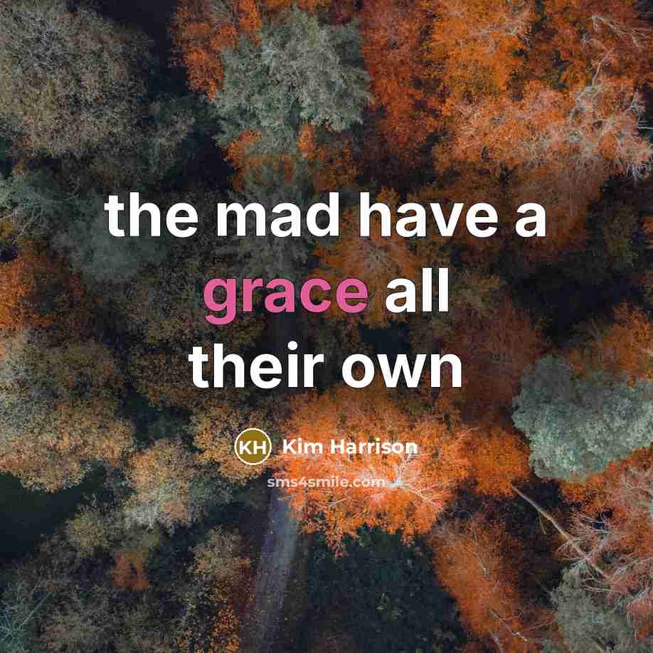 “the mad have a grace all their own…” quote by Kim Harrison