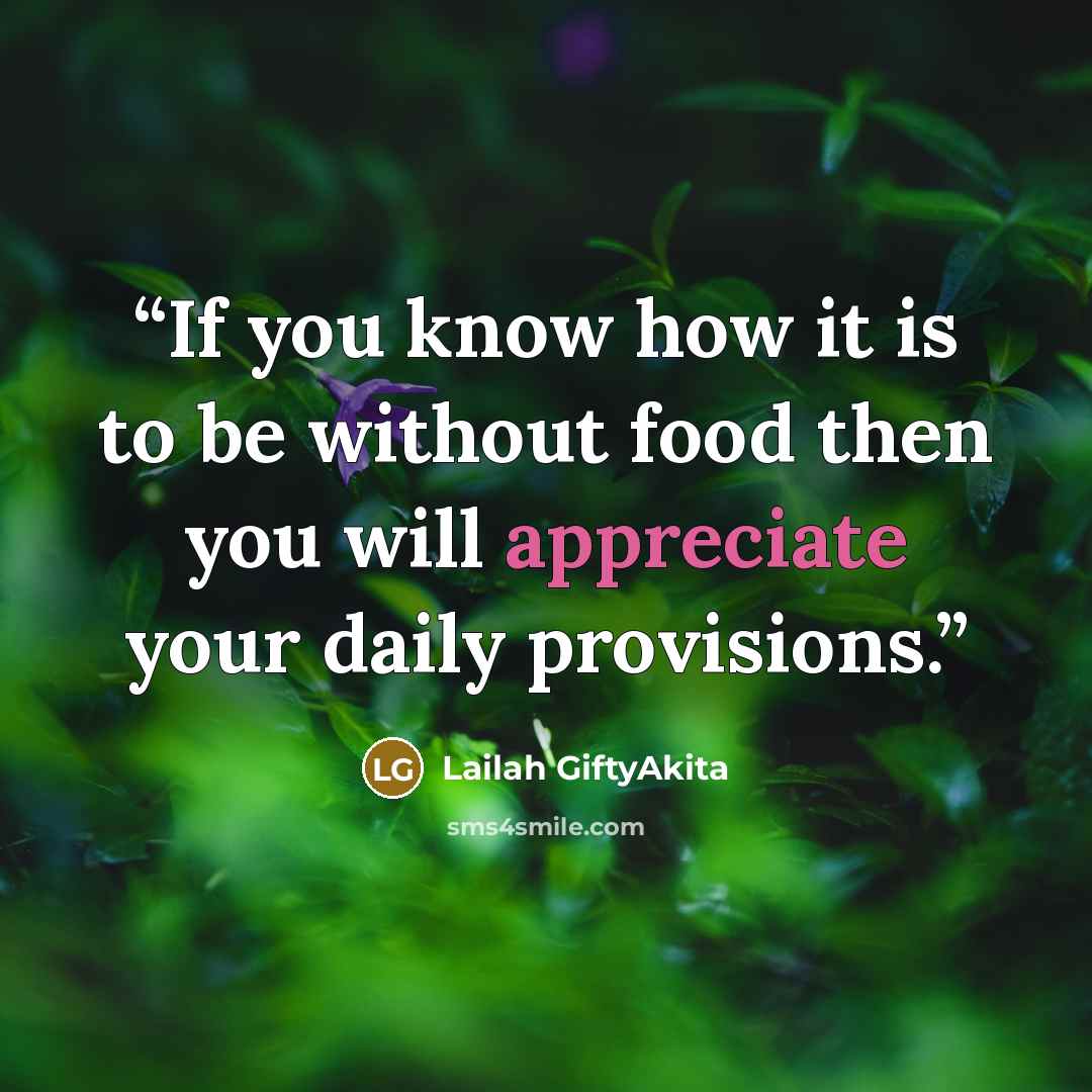 “If you know how it is to be without food then you will appreciate your daily provisions.” quote by Lailah GiftyAkita