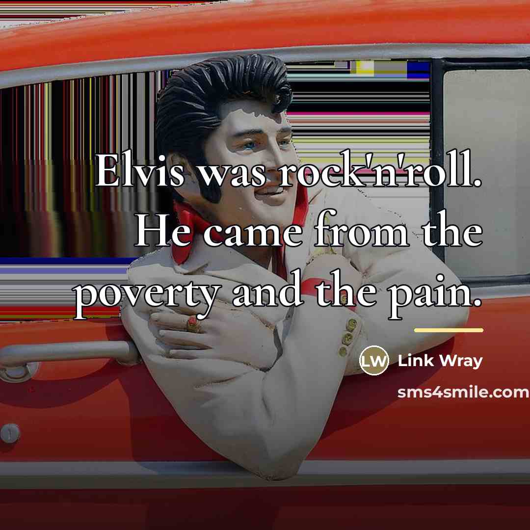 “Elvis was rock'n'roll. He came from the poverty and the…” quote by Link Wray