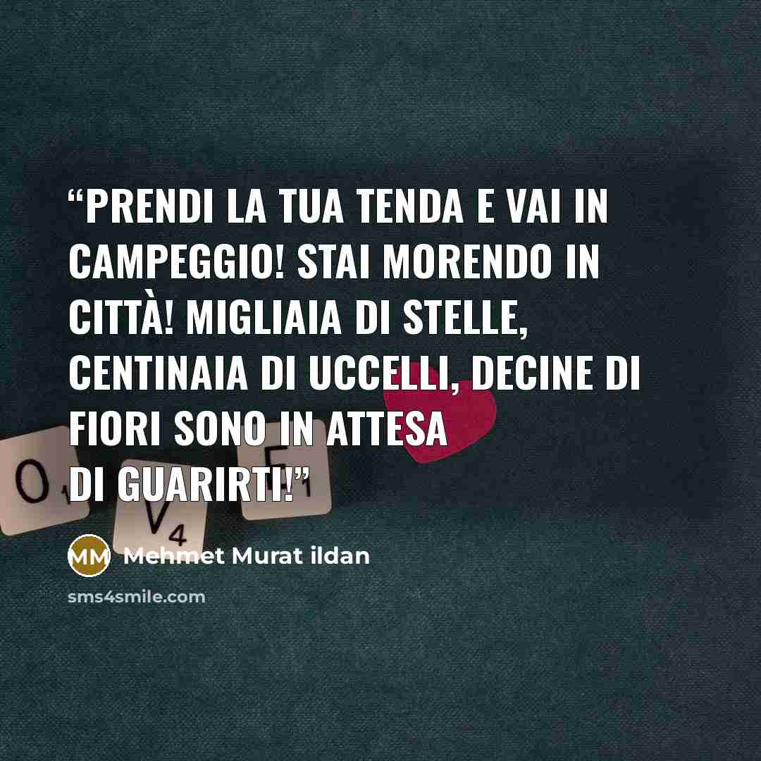 “Prendi la tua tenda e vai in campeggio! Stai morendo in città! Migliaia di stelle, centinaia di uccelli, decine di fiori sono in attesa di guarirti!” quote by Mehmet Murat ildan