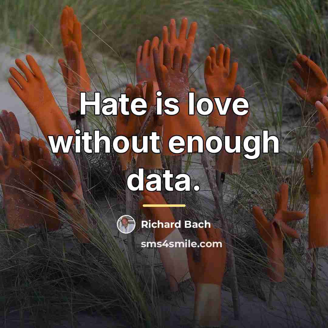“Hate is love without enough data.…” quote by Richard Bach