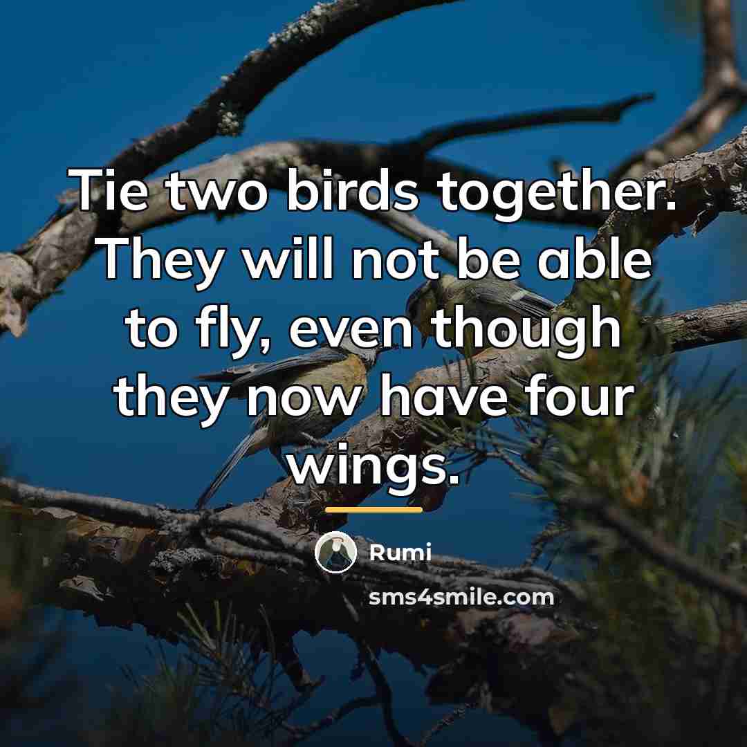 “Tie two birds together. They will not be able to…” quote by Rumi