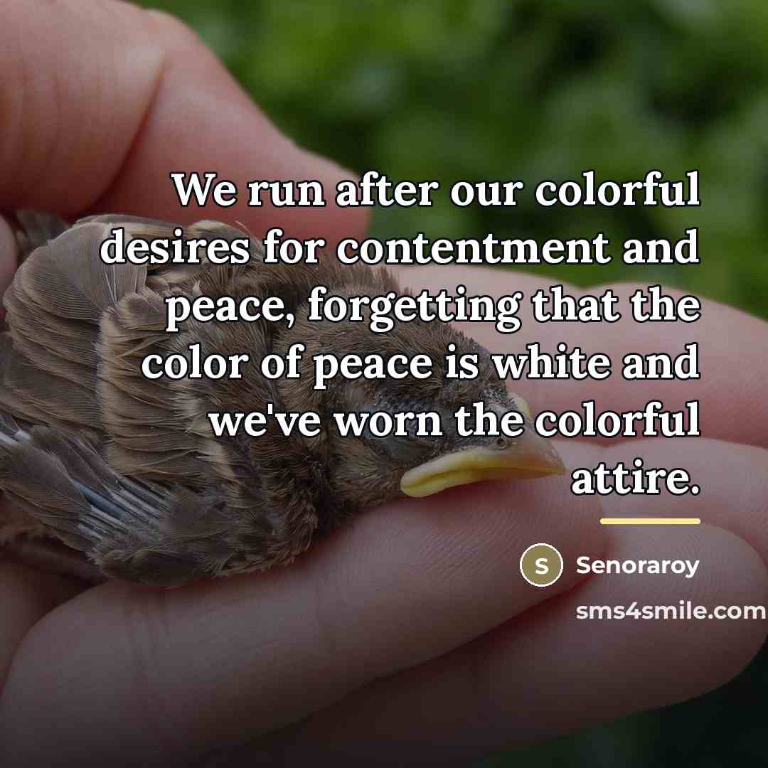 “We run after our colorful desires for contentment and peace,…” quote by Senoraroy