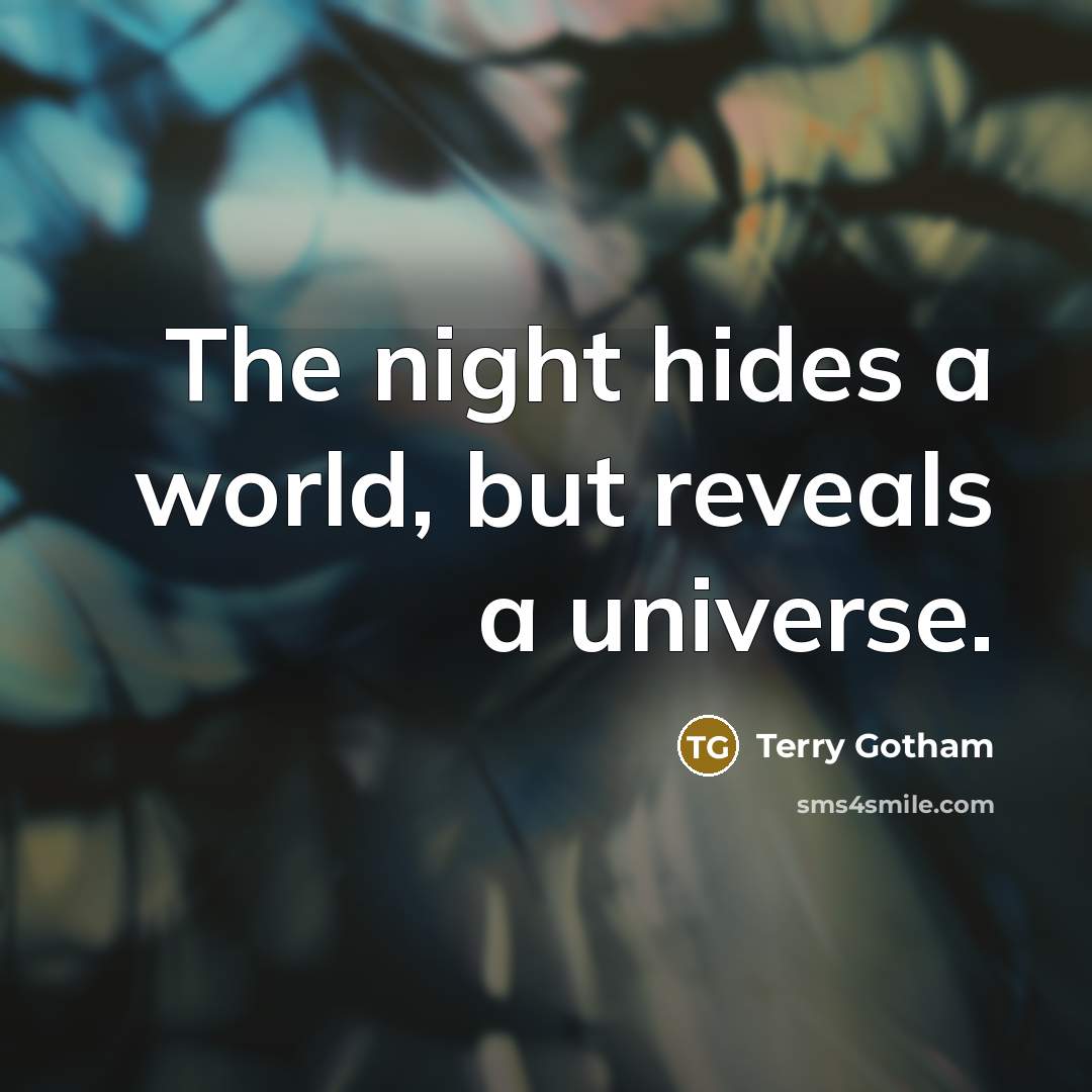 “The night hides a world, but reveals a universe.” quote by Terry Gotham