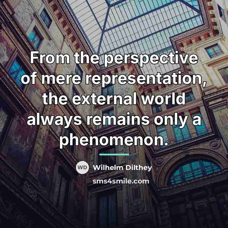 “From the perspective of mere representation, the external world always…” quote by Wilhelm Dilthey