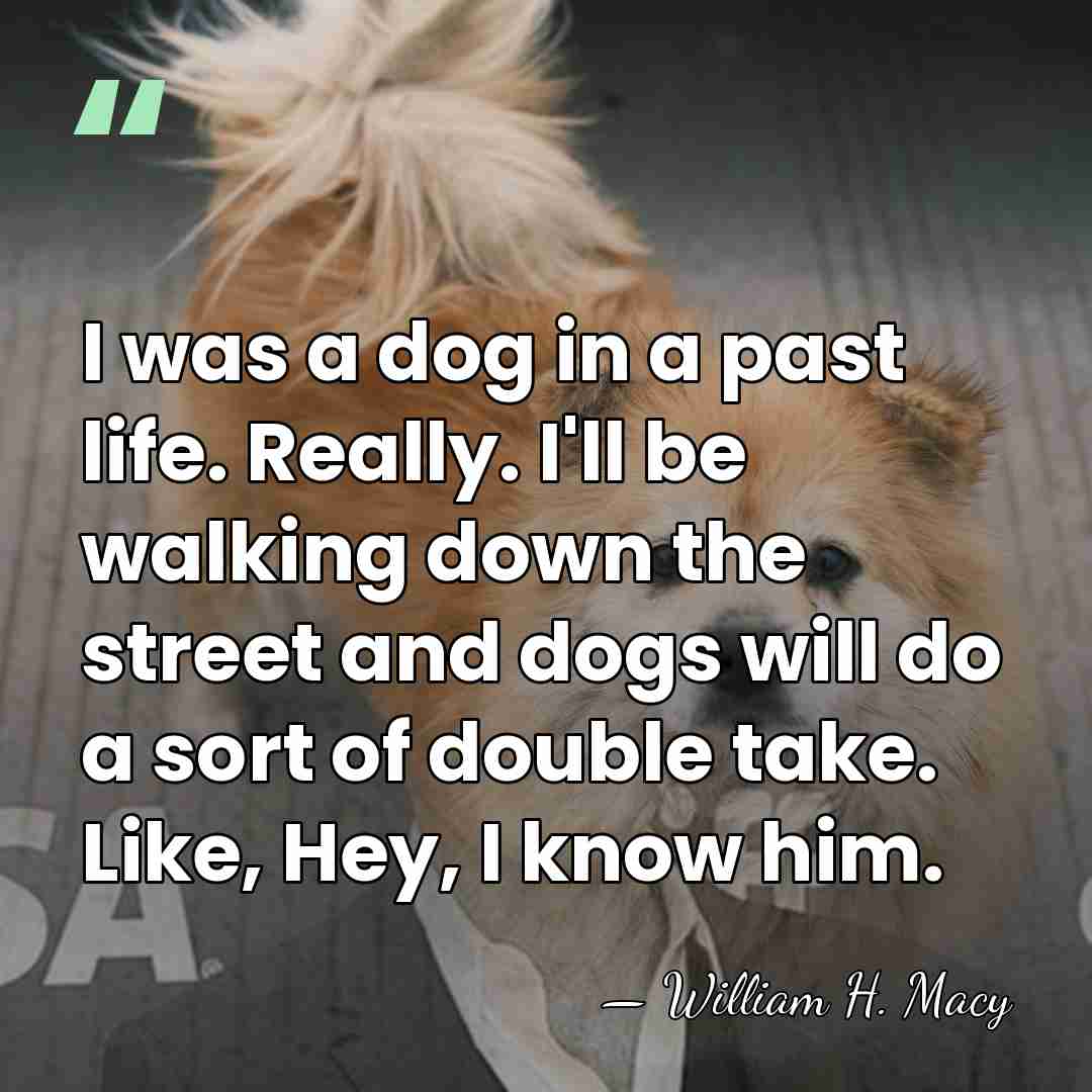 I was a dog in a past life. Really. I'll be walking&hellip; - William H. Macy