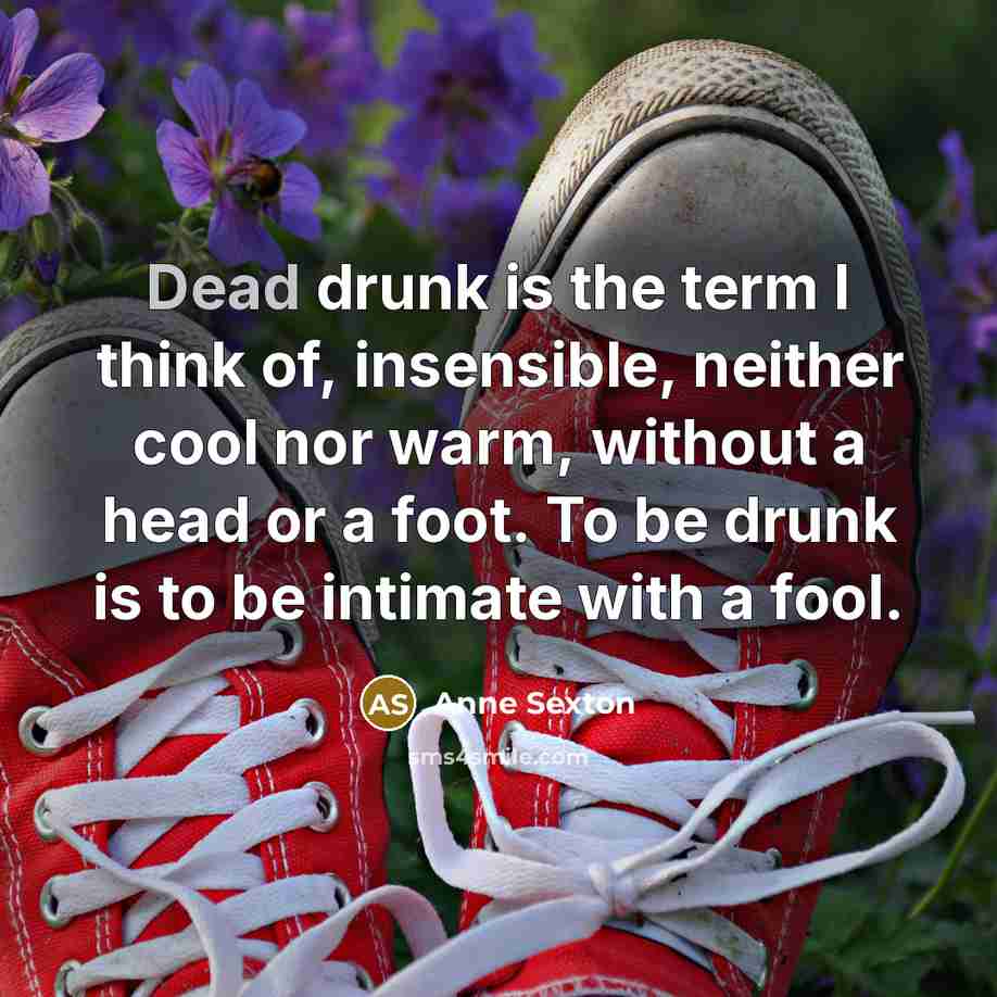 “Dead drunk is the term I think of, insensible, neither…” quote by Anne Sexton