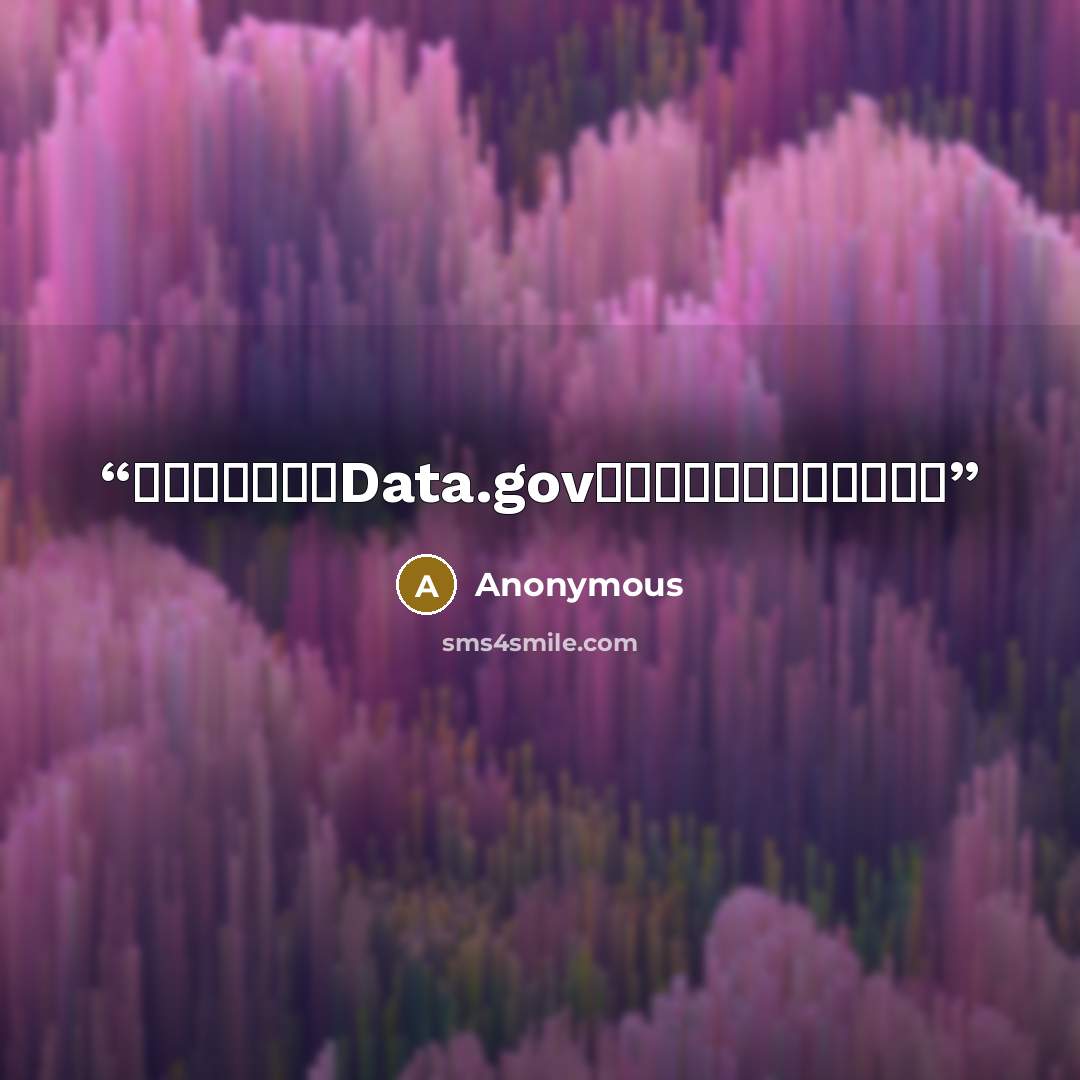 “美国政府创建了Data.gov网站，为大数据敞开了大门” quote by Anonymous