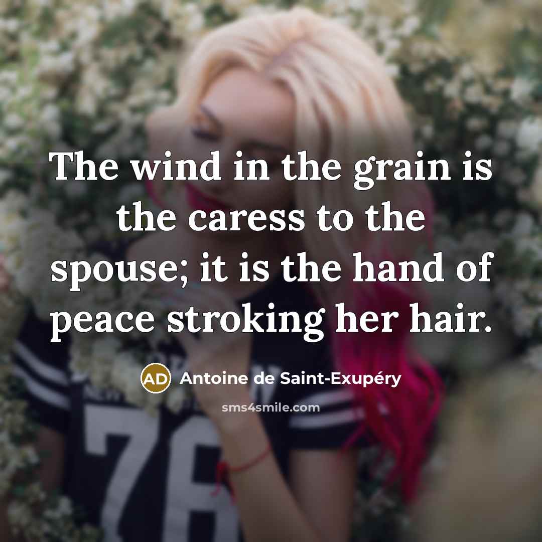 “The wind in the grain is the caress to the…” quote by Antoine de Saint-Exupery
