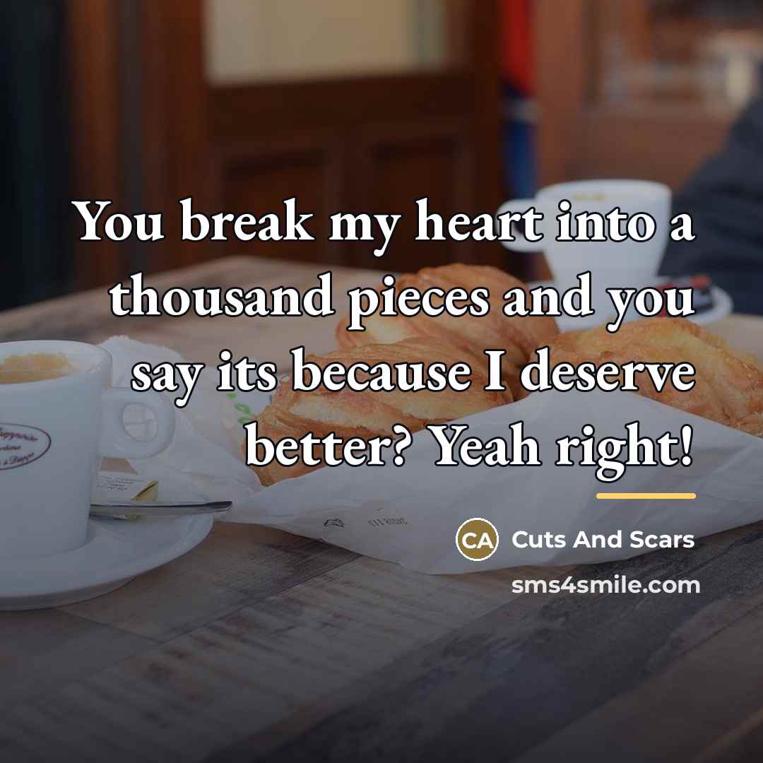 “You break my heart into a thousand pieces and you…” quote by Cuts And Scars
