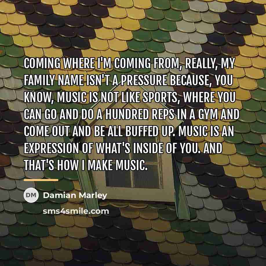 “Coming where I'm coming from, really, my family name isn't…” quote by Damian Marley