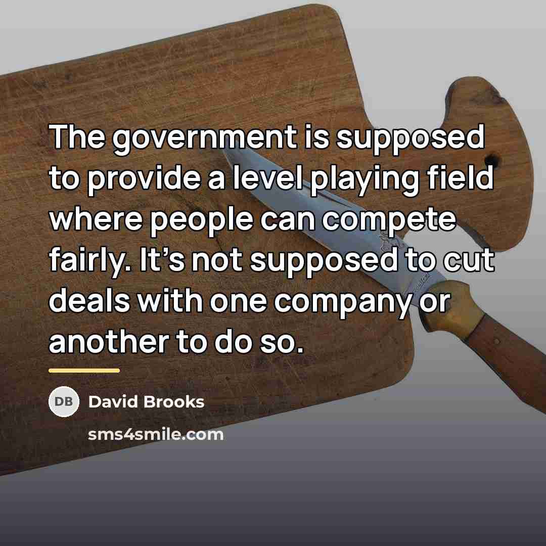 “The government is supposed to provide a level playing field…” quote by David Brooks