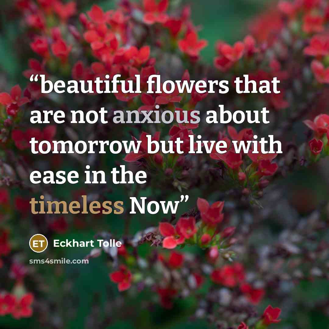 “beautiful flowers that are not anxious about tomorrow but live with ease in the timeless Now” quote by Eckhart Tolle