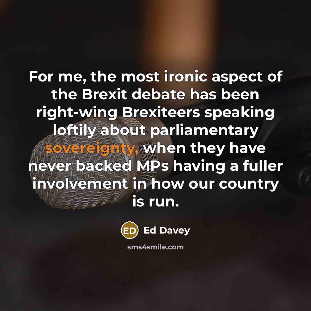 “For me, the most ironic aspect of the Brexit debate…” quote by Ed Davey