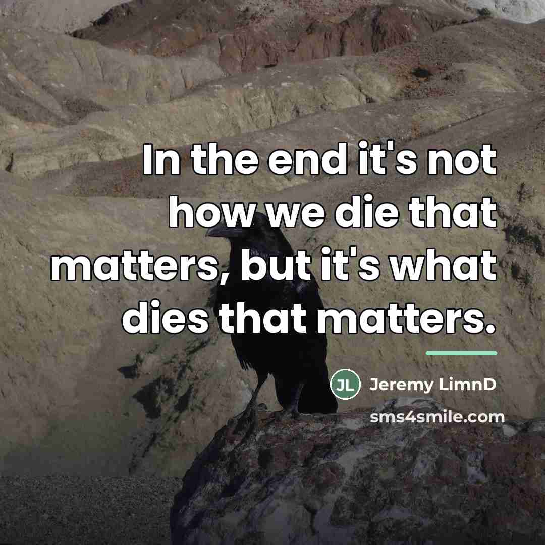 “In the end it's not how we die that matters,…” quote by Jeremy LimnD