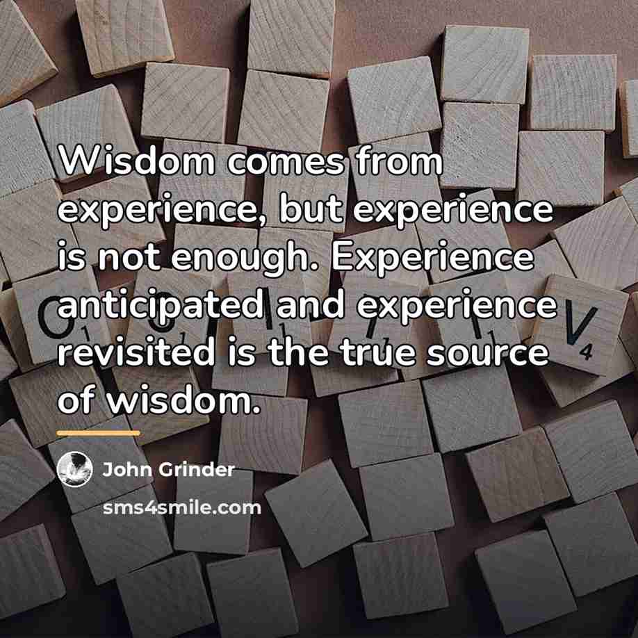 “Wisdom comes from experience, but experience is not enough. Experience…” quote by John Grinder