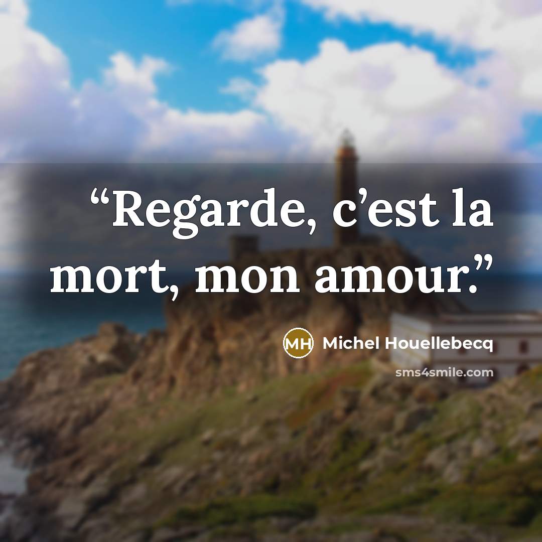 “Regarde, c’est la mort, mon amour.” quote by Michel Houellebecq