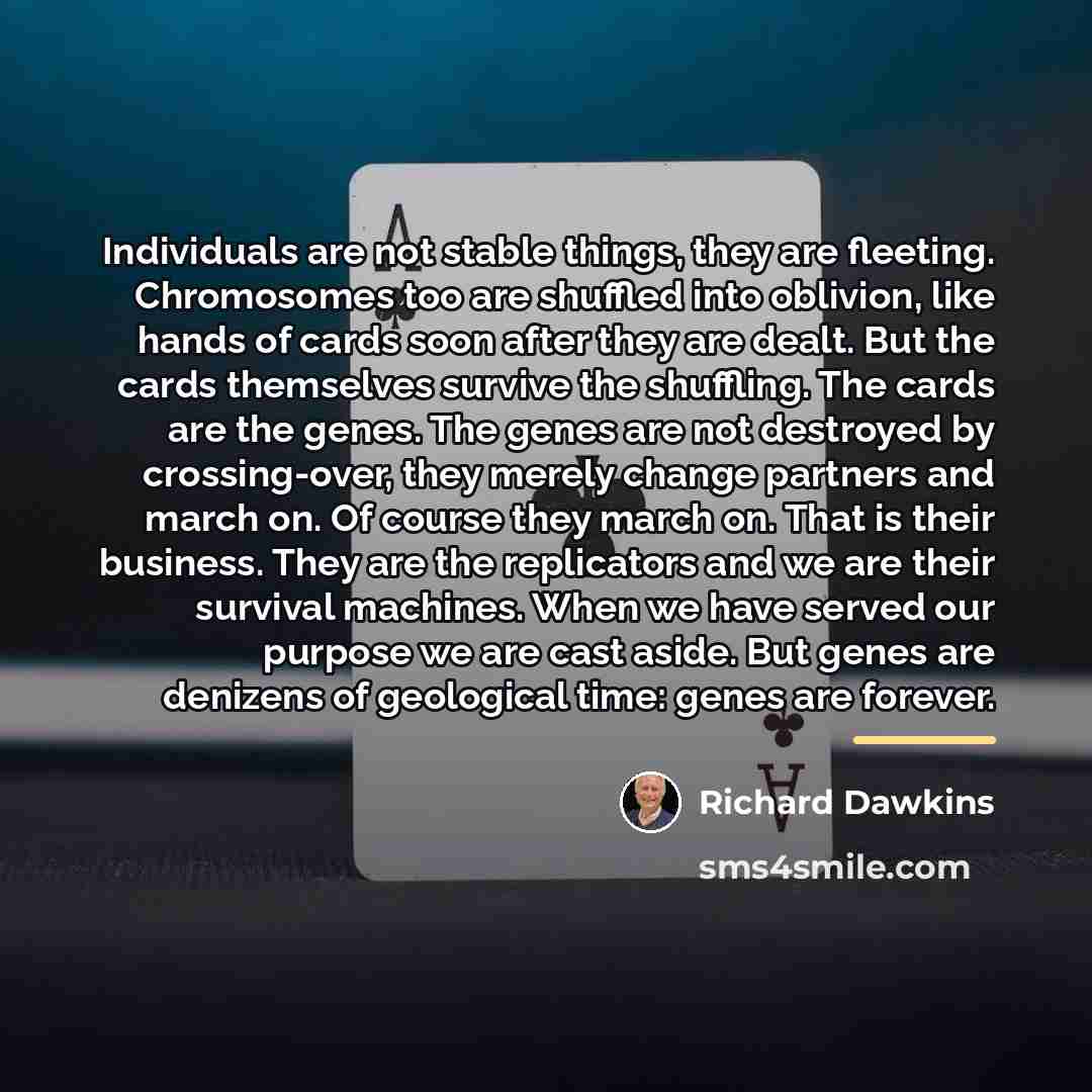 “Individuals are not stable things, they are fleeting. Chromosomes too…” quote by Richard Dawkins
