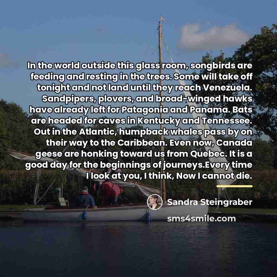 “In the world outside this glass room, songbirds are feeding…” quote by Sandra Steingraber