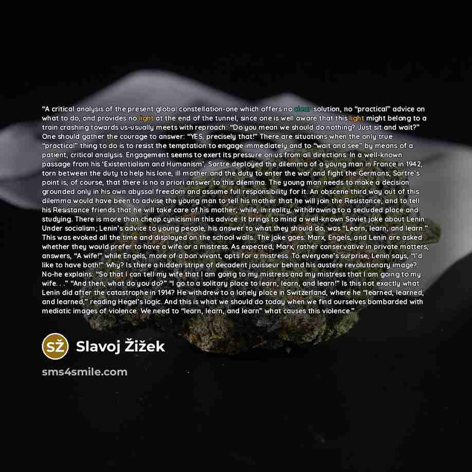 “A critical analysis of the present global constellation-one which offers no clear solution, no “practical” advice on what to do, and provides no light at the end of the tunnel, since one is well aware that this light might belong to a train crashing towards us-usually meets with reproach: “Do you…” quote by Slavoj Žižek