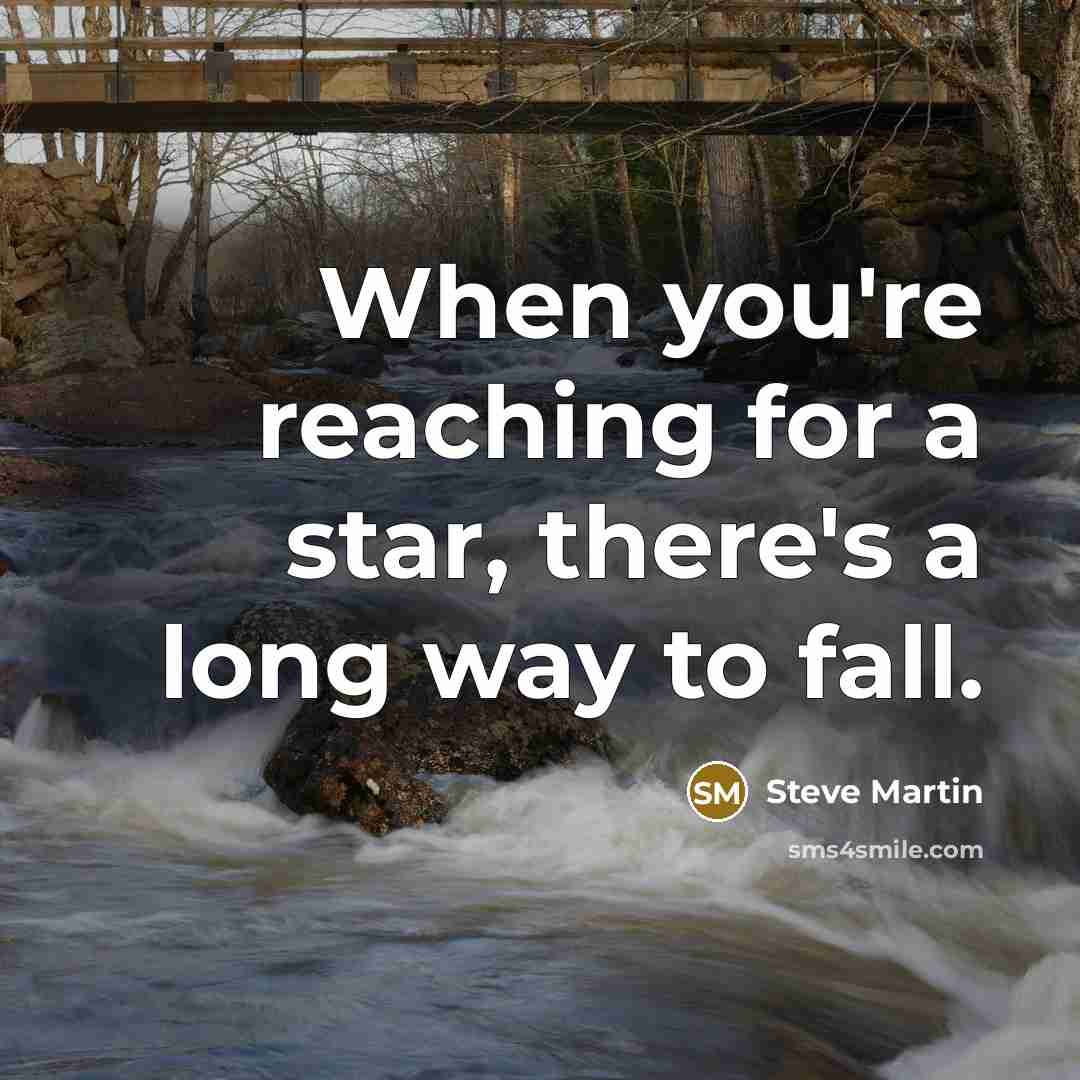 “When you're reaching for a star, there's a long way…” quote by Steve Martin