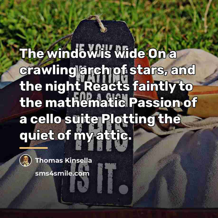 “The window is wide On a crawling arch of stars,…” quote by Thomas Kinsella