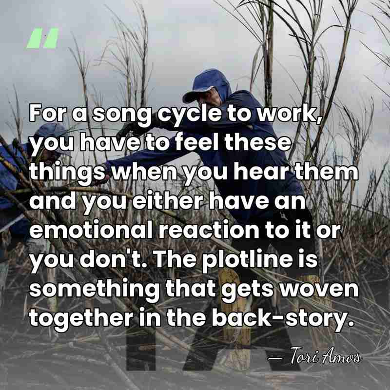 For a song cycle to work, you have to feel these things&hellip; - Tori Amos