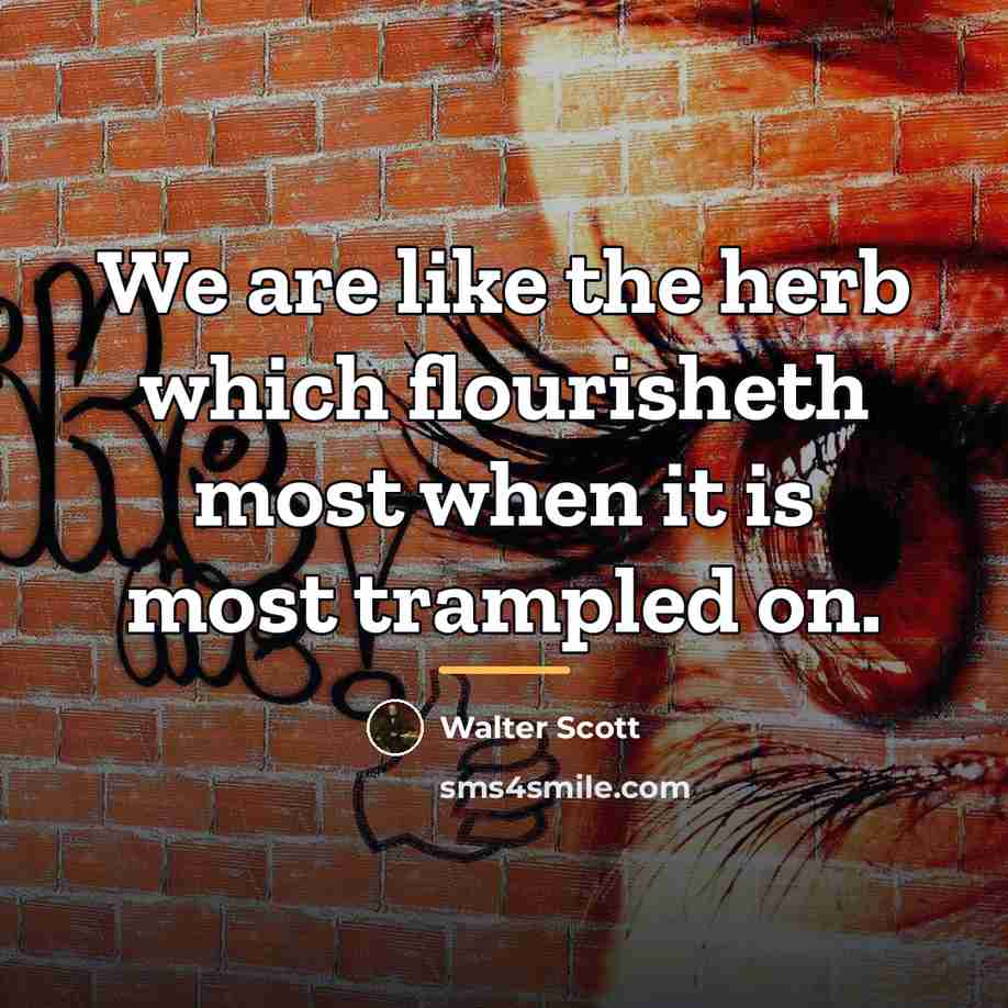 “We are like the herb which flourisheth most when it…” quote by Walter Scott