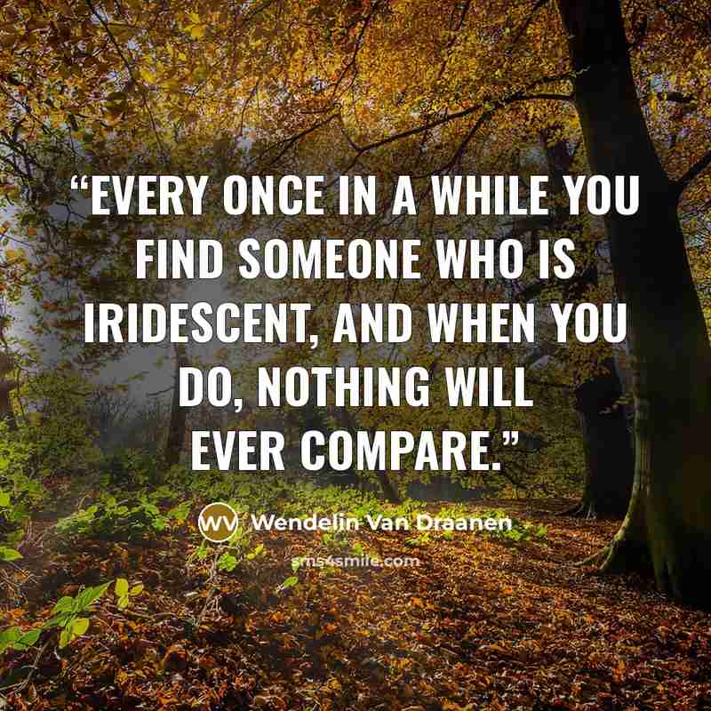 “Every once in a while you find someone who is iridescent, and when you do, nothing will ever compare.” quote by Wendelin Van Draanen