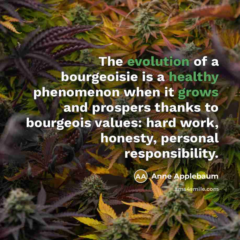 “The evolution of a bourgeoisie is a healthy phenomenon when…” quote by Anne Applebaum