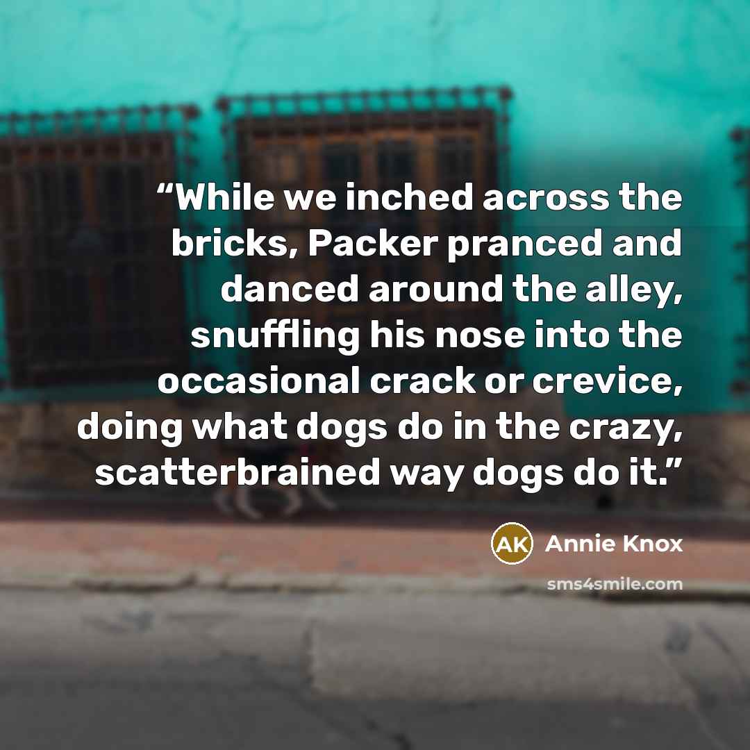 “While we inched across the bricks, Packer pranced and danced around the alley, snuffling his nose into the occasional crack or crevice, doing what dogs do in the crazy, scatterbrained way dogs do it.” quote by Annie Knox