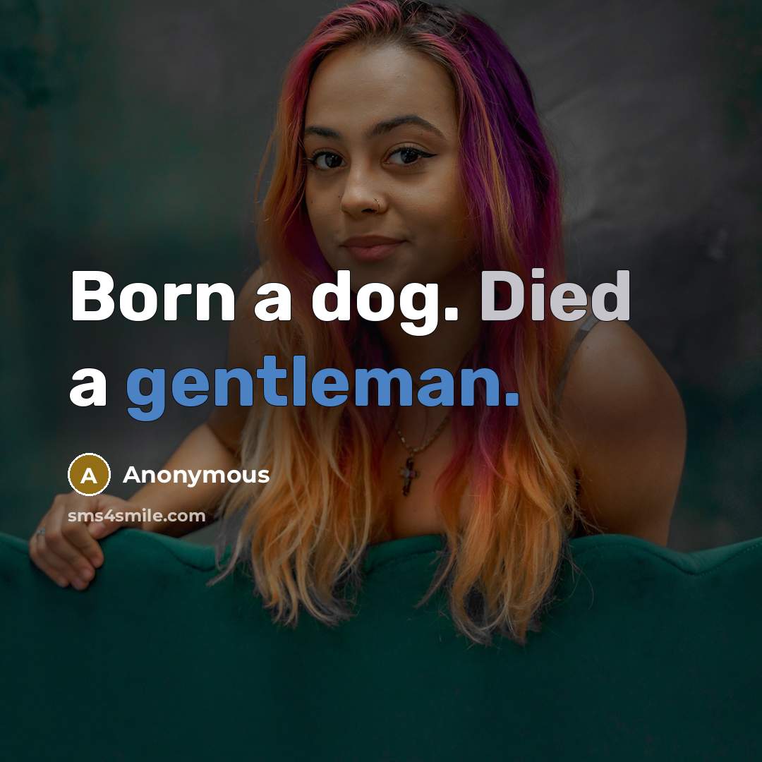 “Born a dog. Died a gentleman.” quote by Anonymous