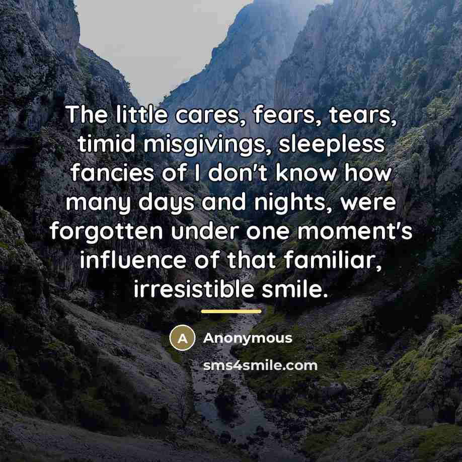 “The little cares, fears, tears, timid misgivings, sleepless fancies of…” quote by Anonymous