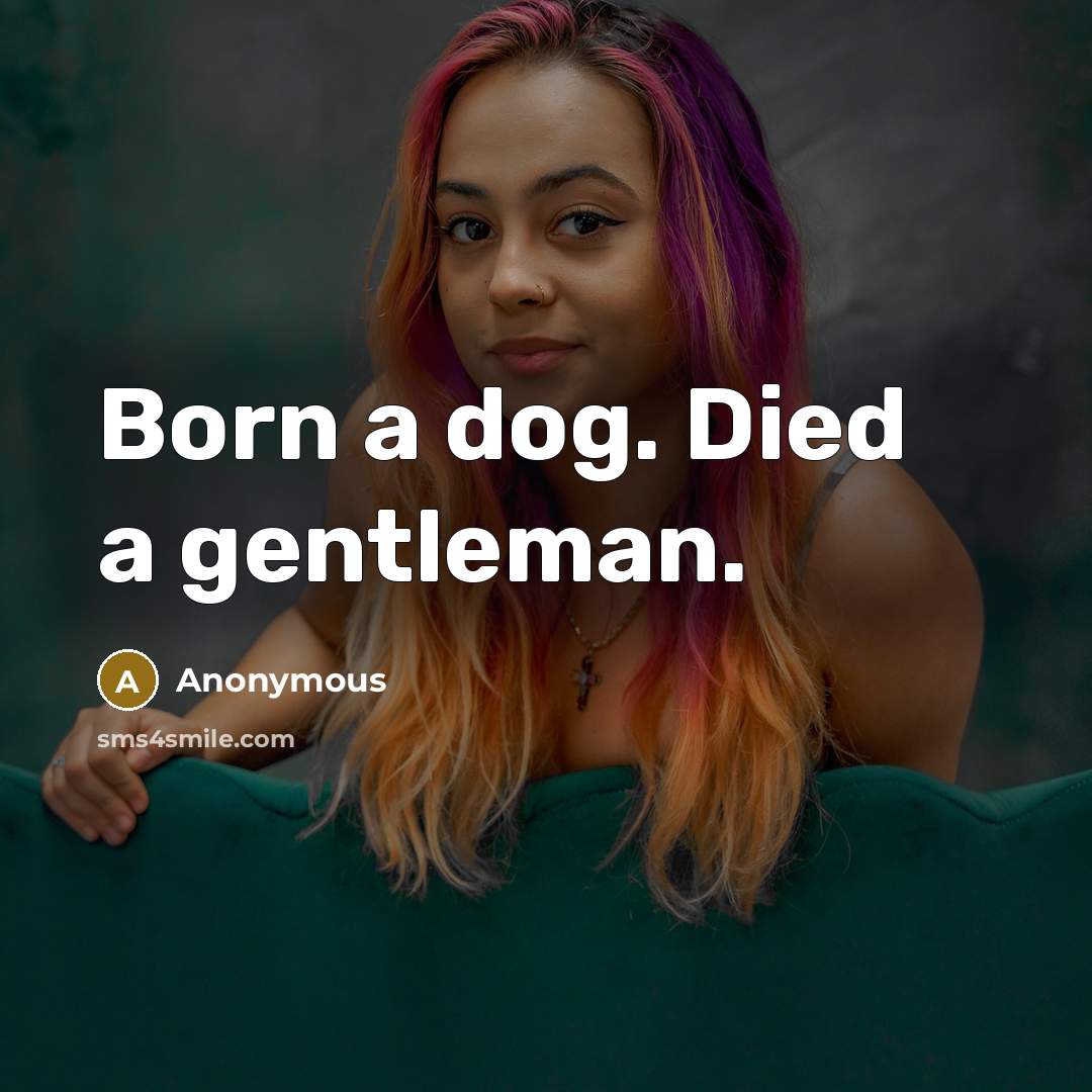 “Born a dog. Died a gentleman.…” quote by Anonymous