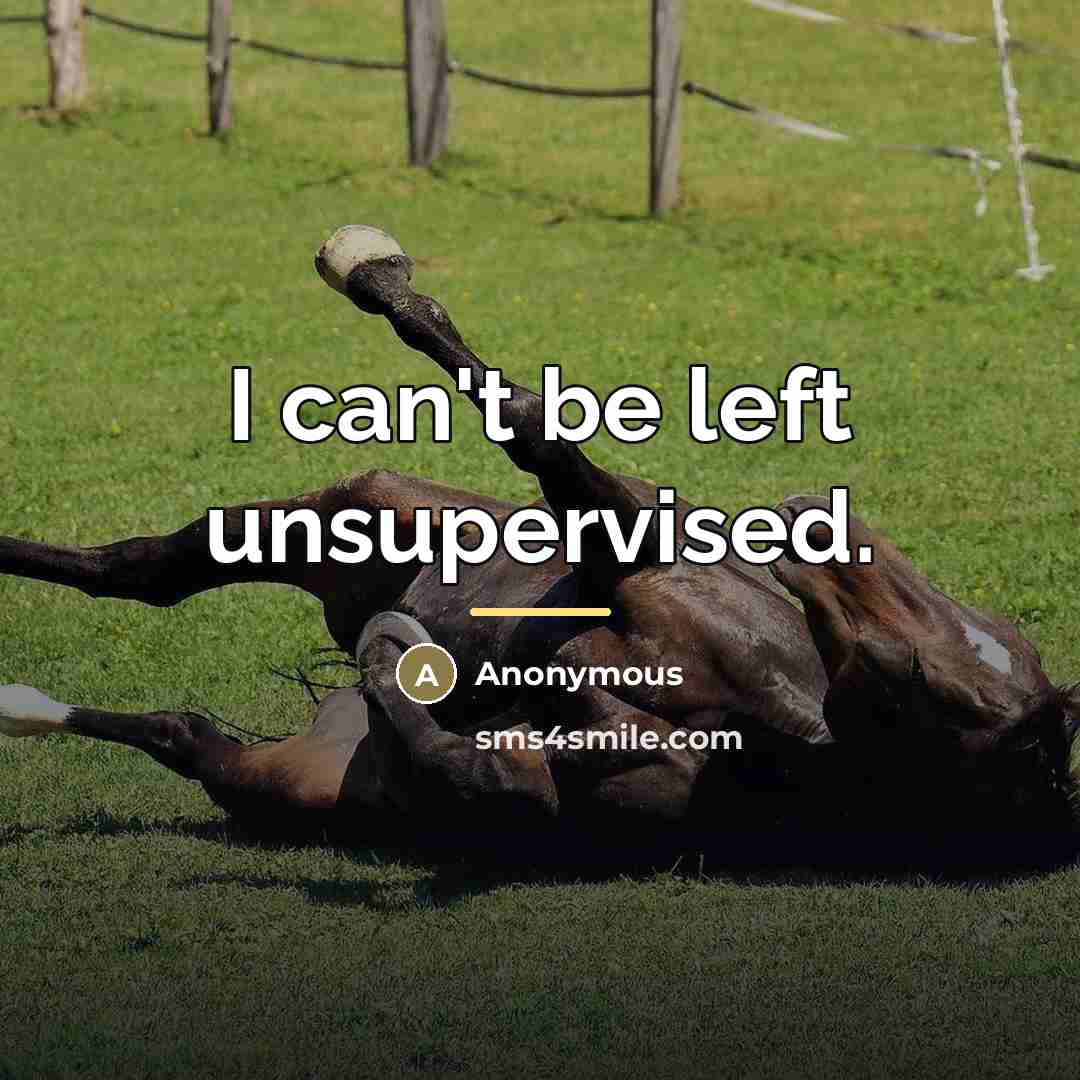 “I can't be left unsupervised.…” quote by Anonymous