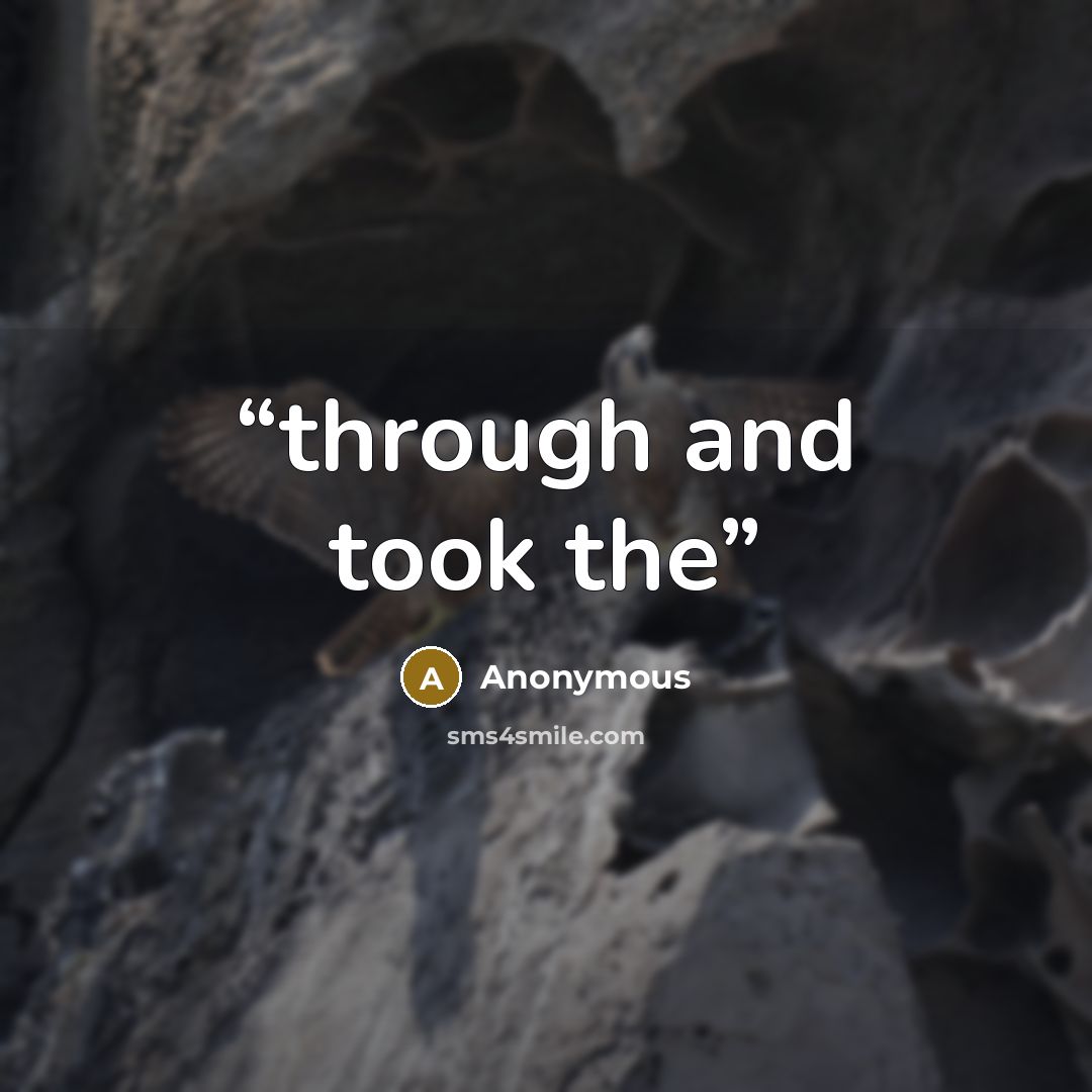 “through and took the” quote by Anonymous