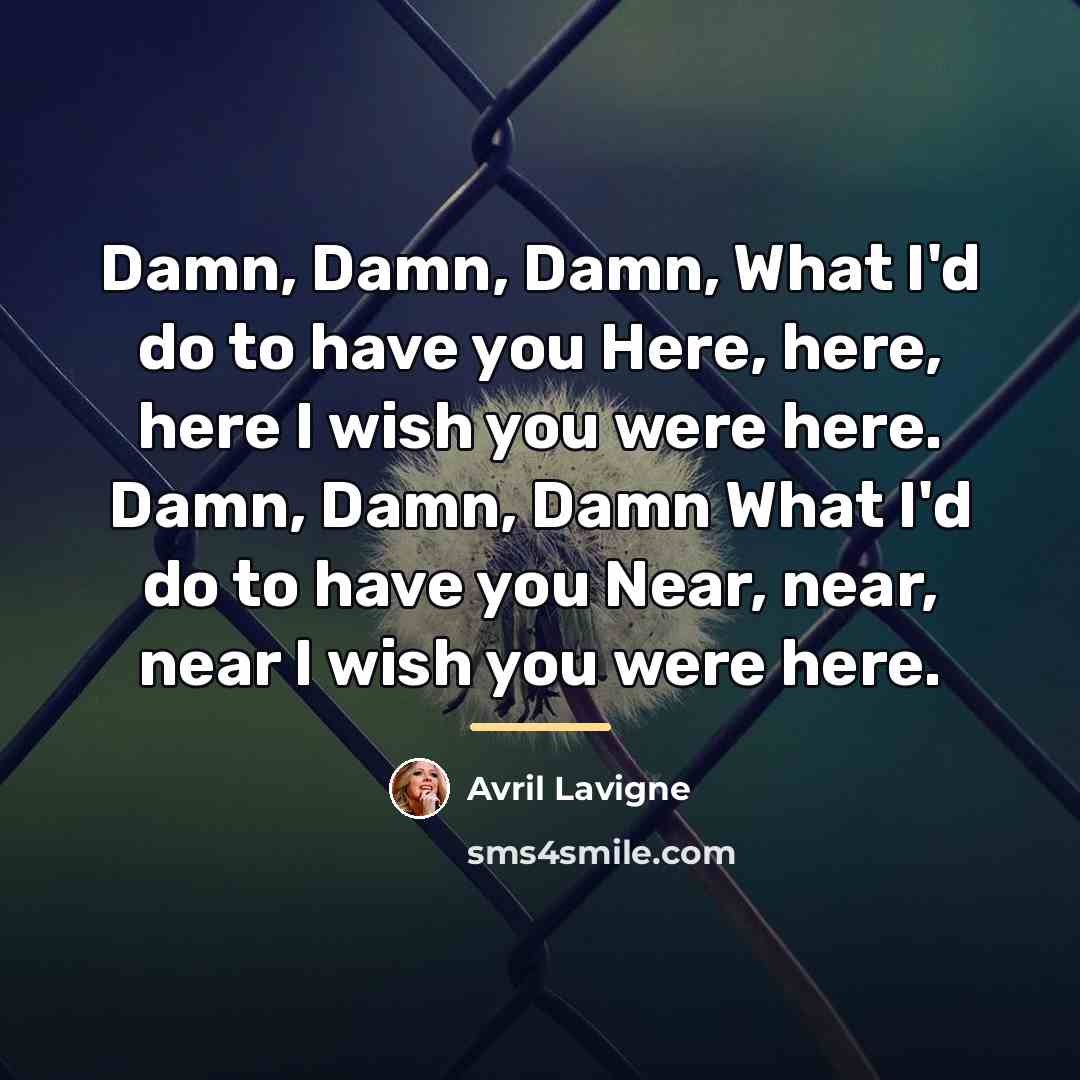 “Damn, Damn, Damn, What I'd do to have you Here,…” quote by Avril Lavigne