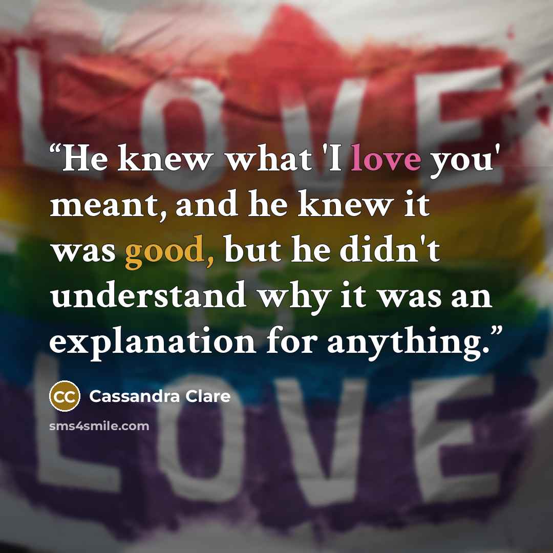 “He knew what 'I love you' meant, and he knew it was good, but he didn't understand why it was an explanation for anything.” quote by Cassandra Clare