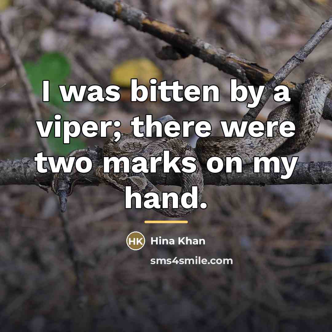 “I was bitten by a viper; there were two marks…” quote by Hina Khan