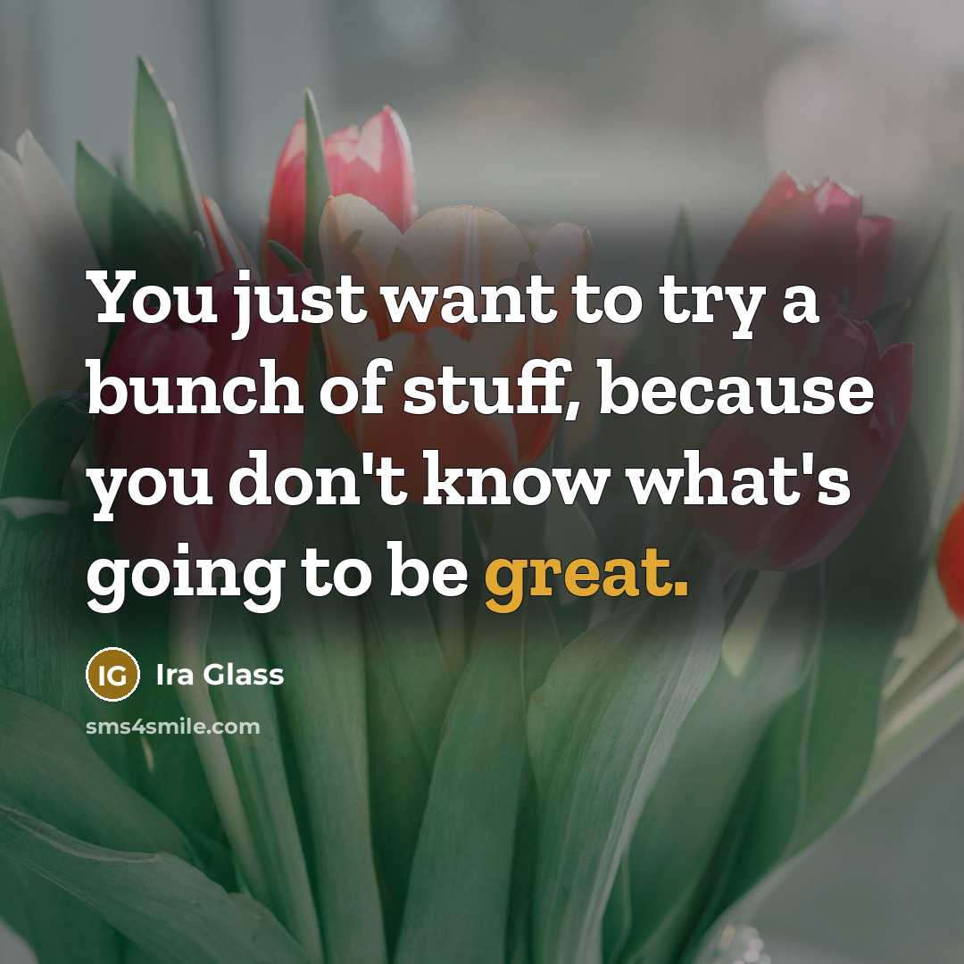 “You just want to try a bunch of stuff, because…” quote by Ira Glass