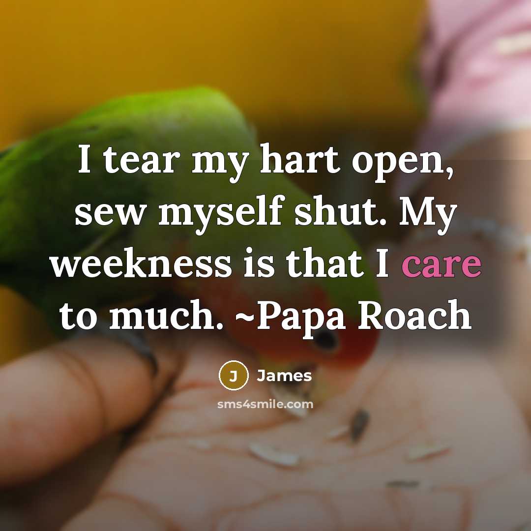 “I tear my hart open, sew myself shut. My weekness…” quote by James