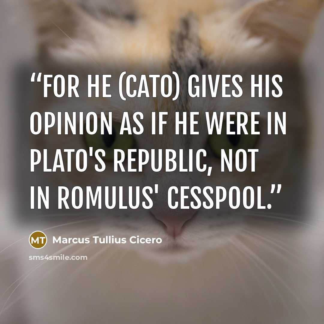 “For he (Cato) gives his opinion as if he were in Plato's Republic, not in Romulus' cesspool.” quote by Marcus Tullius Cicero