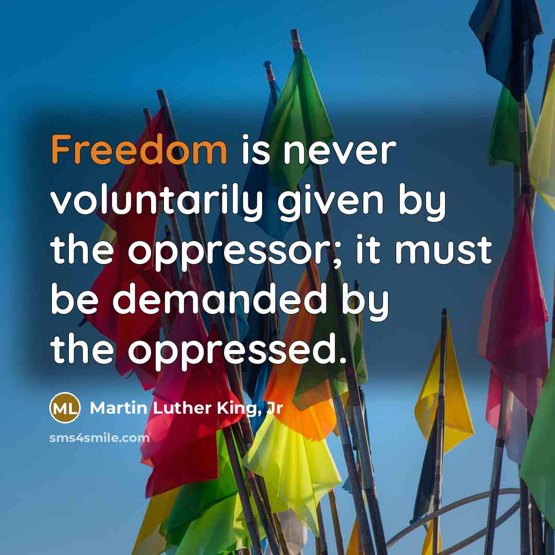 “Freedom is never voluntarily given by the oppressor; it must…” quote by Martin Luther King, Jr