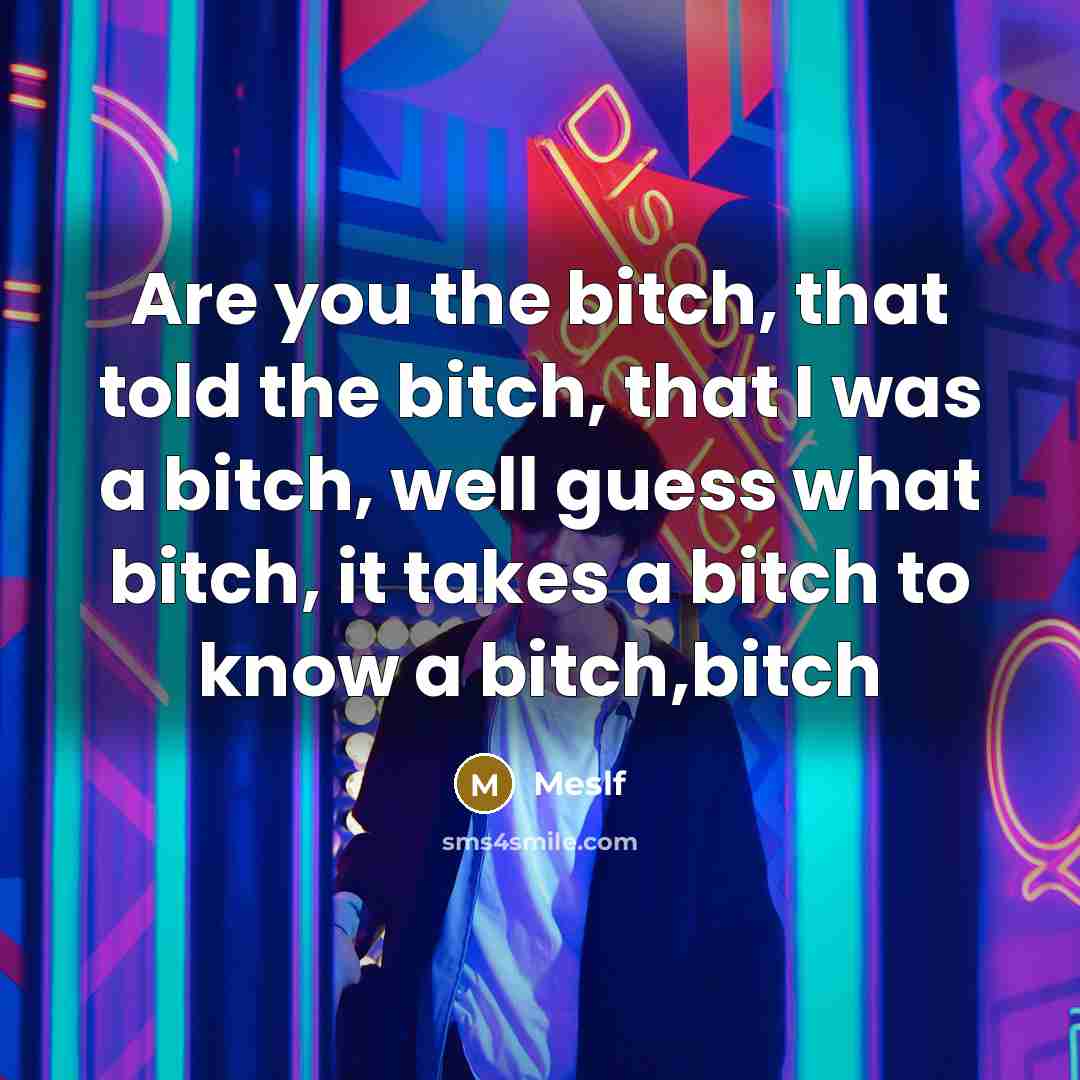 “Are you the bitch, that told the bitch, that I…” quote by Meslf