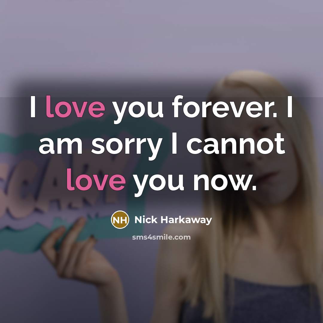 “I love you forever. I am sorry I cannot love…” quote by Nick Harkaway