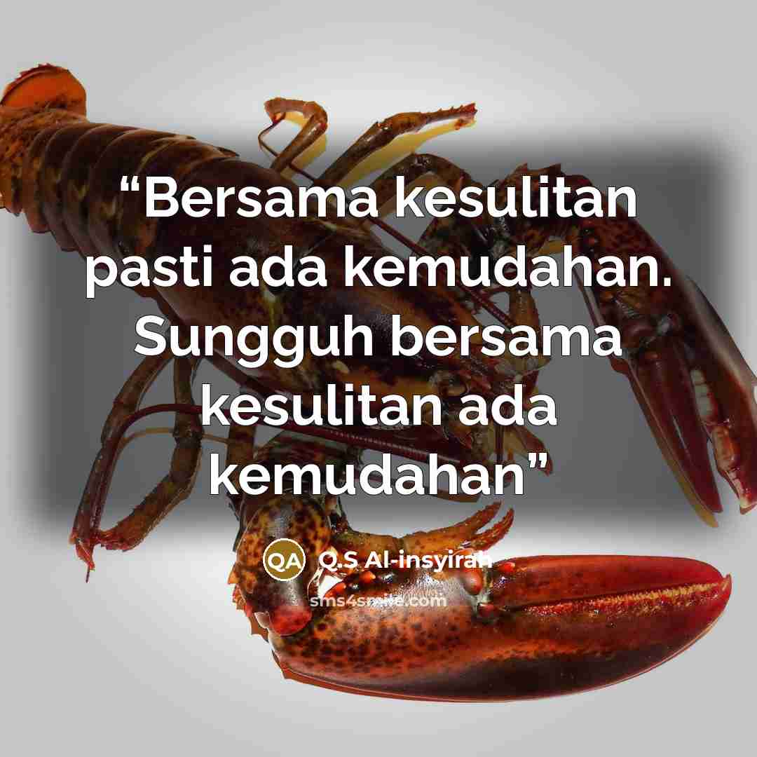 “Bersama kesulitan pasti ada kemudahan. Sungguh bersama kesulitan ada kemudahan” quote by Q.S Al-insyirah