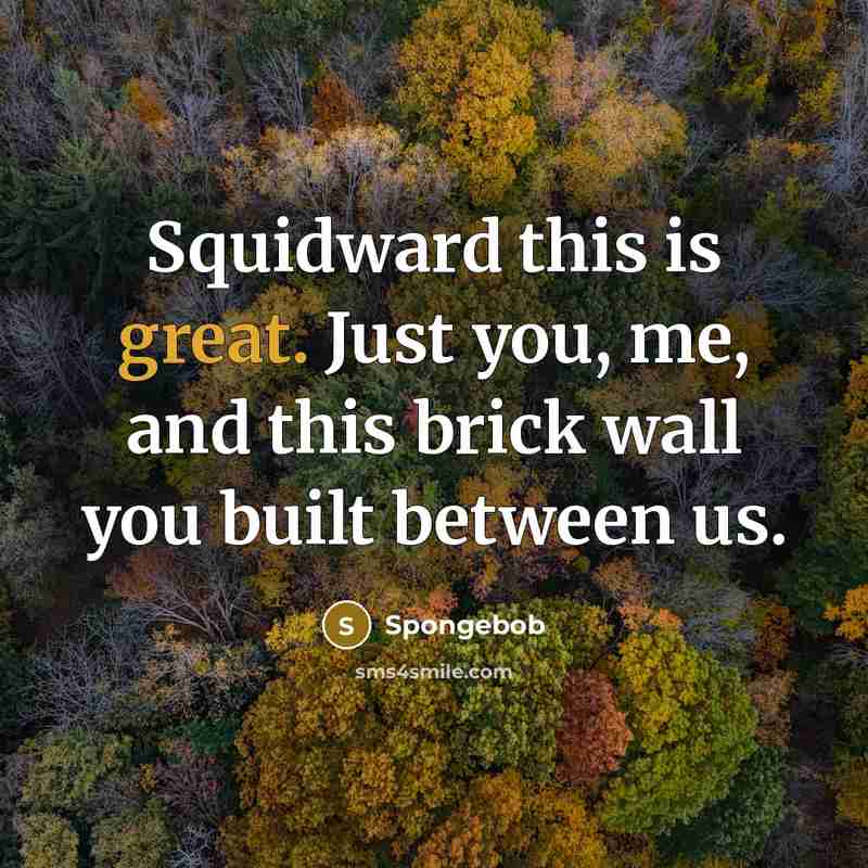 “Squidward this is great. Just you, me, and this brick wall you built between us.” quote by Spongebob