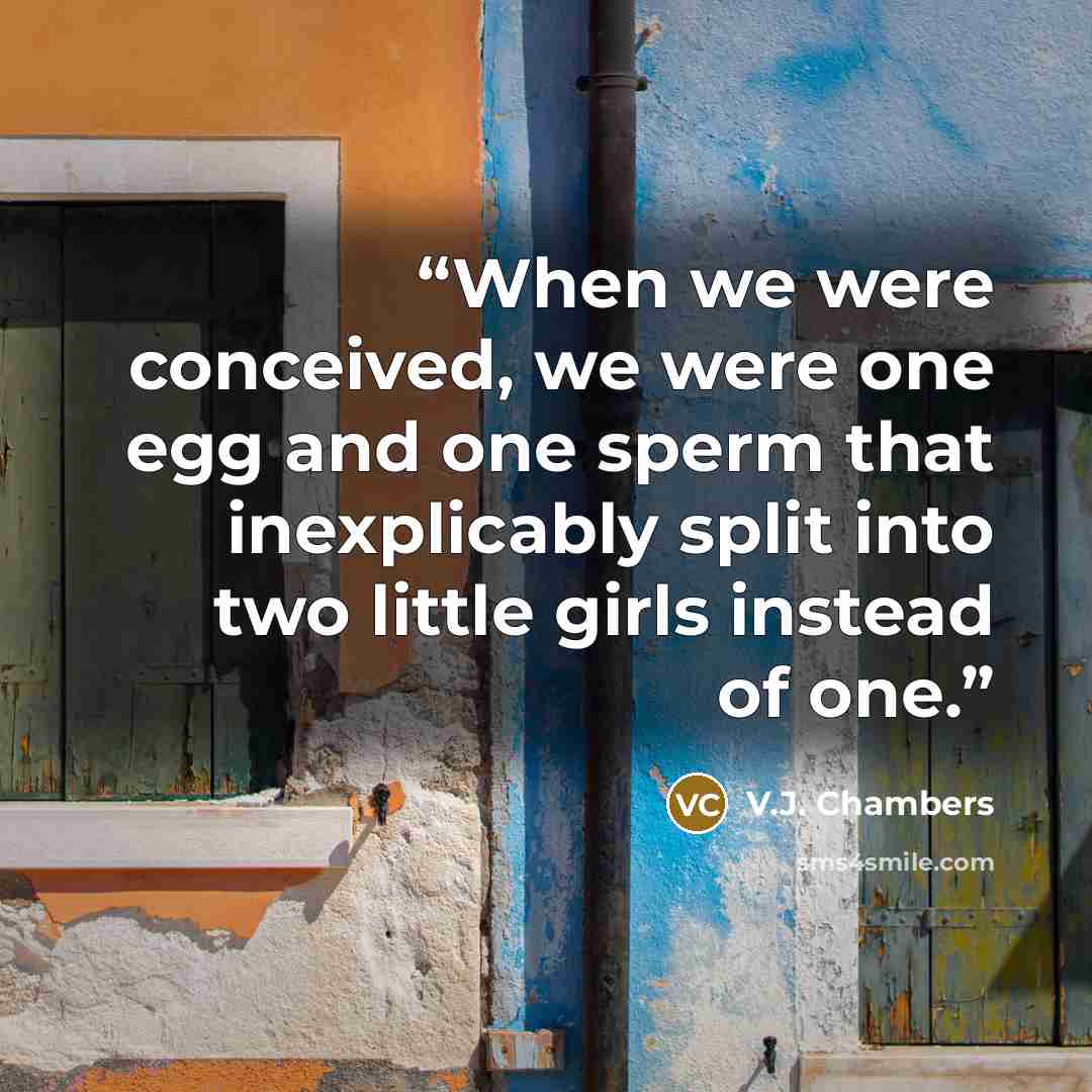 “When we were conceived, we were one egg and one sperm that inexplicably split into two little girls instead of one.” quote by V.J. Chambers