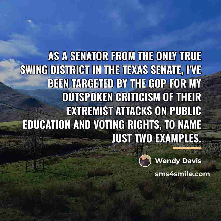 “As a senator from the only true swing district in…” quote by Wendy Davis